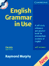 English Grammar in Use