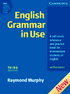 English Grammar in Use Third edition