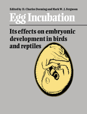 Egg Incubation