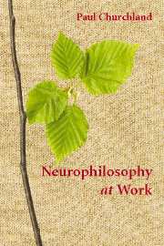 Neurophilosophy at Work