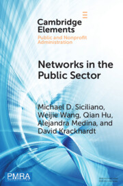 Networks in the Public Sector