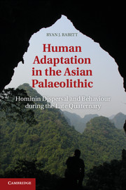 Human Adaptation in the Asian Palaeolithic