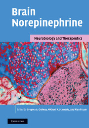 Brain Norepinephrine