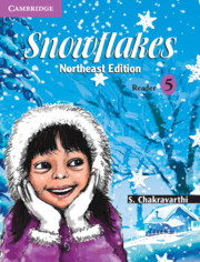 Snowflakes Level 5