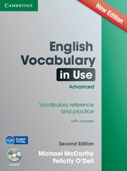 vocabulary english in use скачать