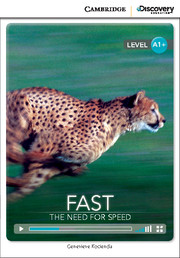 Fast: The Need for Speed High Beginning