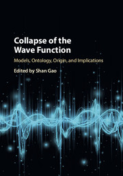 Collapse of the Wave Function