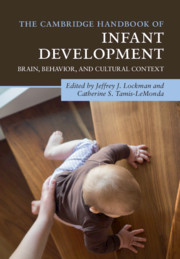 The Cambridge Handbook of Infant Development