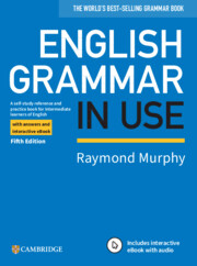 essential grammar in use 5th edition download