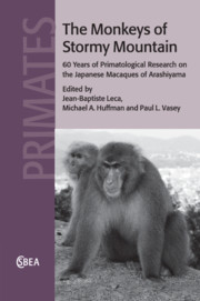 The Monkeys of Stormy Mountain