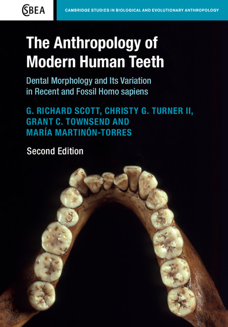 The Anthropology Of Modern Human Teeth