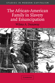 The African-American Family in Slavery and Emancipation