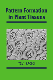 Pattern Formation in Plant Tissues