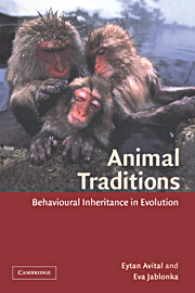 Animal Traditions