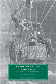 Victorian Writing about Risk