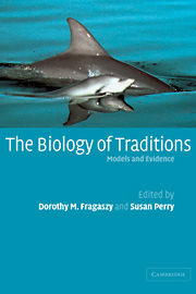 The Biology of Traditions