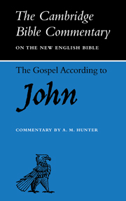 The Gospel according to John