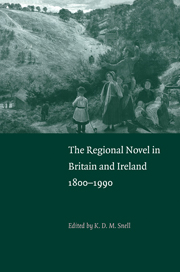 The Regional Novel in Britain and Ireland