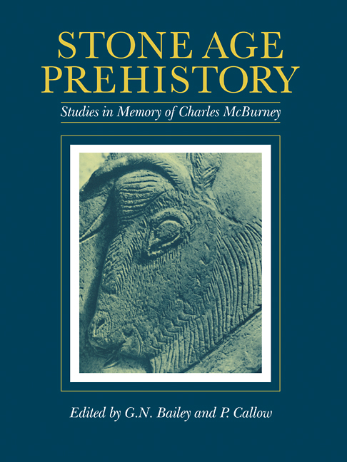 Stone Age Prehistory
