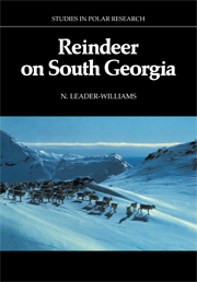 Reindeer on South Georgia