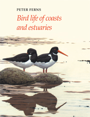 Bird Life of Coasts and Estuaries