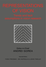 Representations of Vision