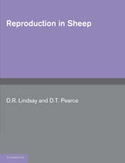 Reproduction in Sheep