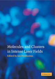 Molecules and Clusters in Intense Laser Fields