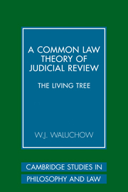 A Common Law Theory of Judicial Review