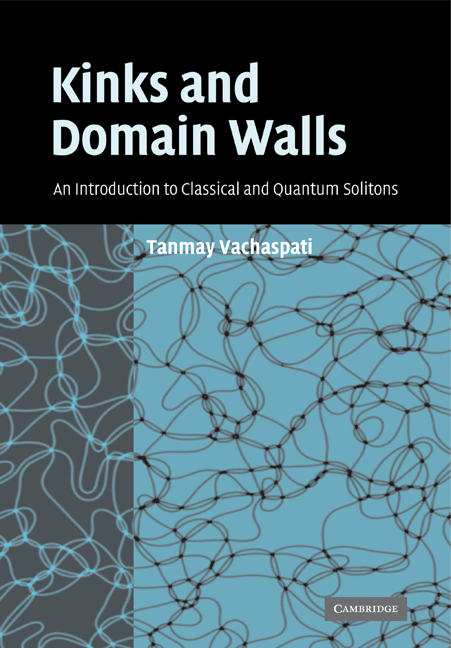Kinks and Domain Walls