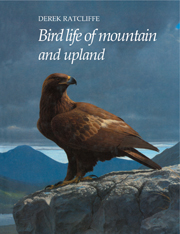 Bird Life of Mountain and Upland