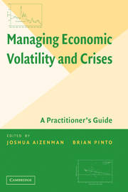 Managing Economic Volatility and Crises
