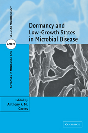 Dormancy and Low Growth States in Microbial Disease