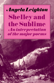 Shelley and the Sublime