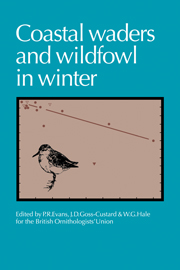 Coastal Waders and Wildfowl in Winter