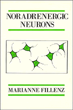 Noradrenergic Neurons