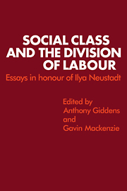 Social Class and the Division of Labour
