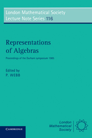 Representations of Algebras