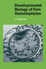 Developmental Biology of Fern Gametophytes