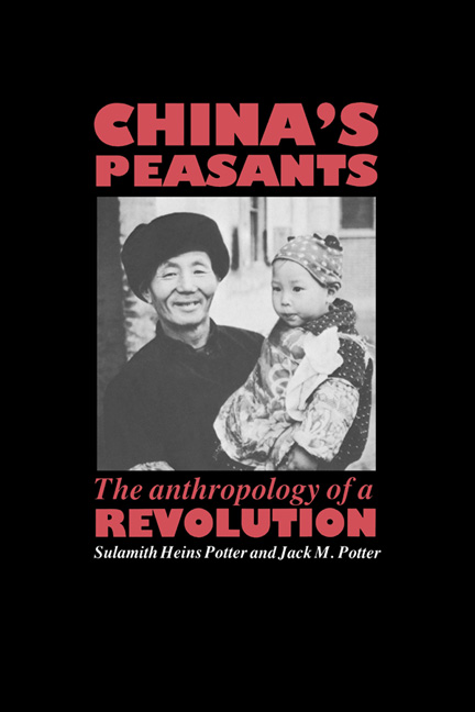 China's Peasants