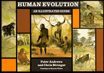 Human Evolution