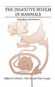 The Digestive System in Mammals