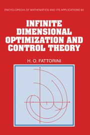 Infinite Dimensional Optimization and Control Theory
