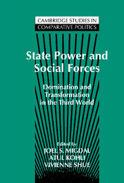 State Power and Social Forces