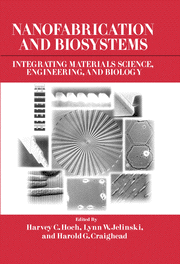 Nanofabrication and Biosystems