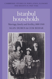 Istanbul Households
