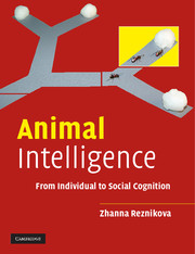 Animal Intelligence