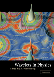 Wavelets in Physics