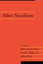 After Socialism