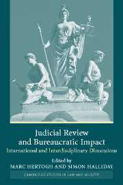 Judicial Review and Bureaucratic Impact